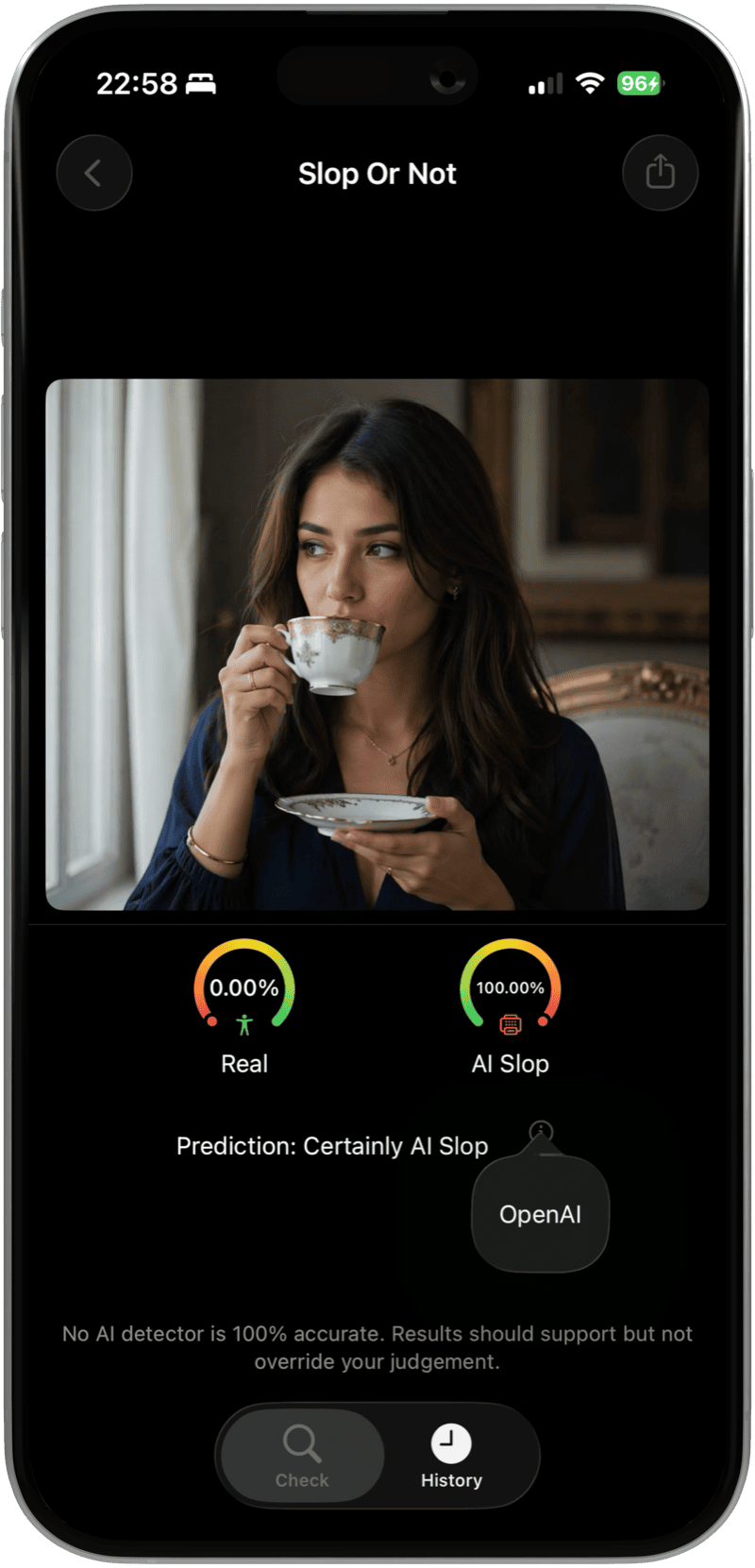 Slop or Not iPhone app flagging a ChatGPT-generated portrait as 100% AI Slop with an OpenAI C2PA credential match